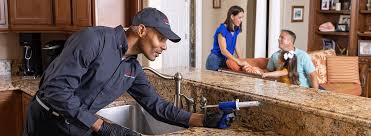 Best Termite Inspection and Treatment  in Westminster, SC